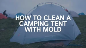 how-to-clean-a-tent-with-mold-featured