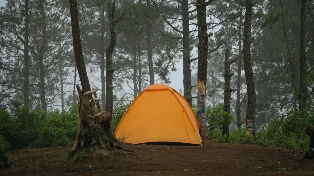 how-to-make-tent-camping-more-comfortable-by-choosing-the-right-campsite-location