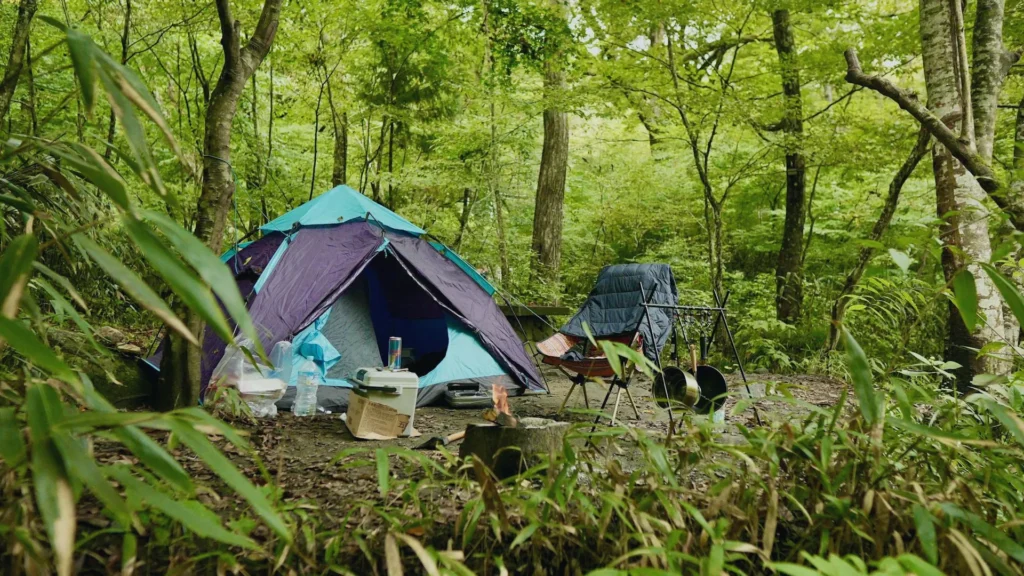is-tent-camping-safe-ask-learn-and-apply
