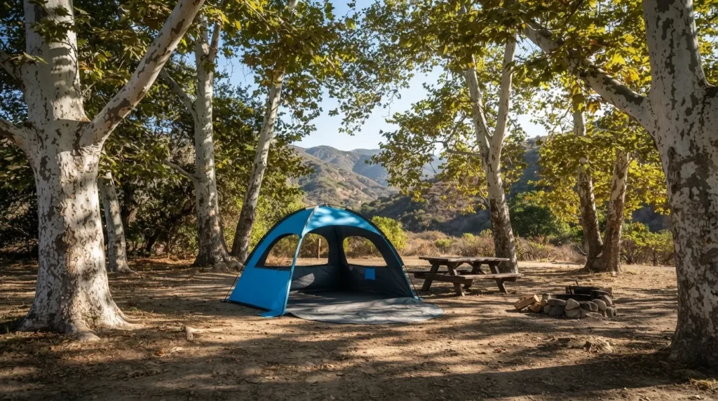 A shaded Southern California campground campsite near the beach