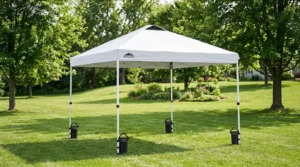 Eagle Peak canopy 10x10 with a vented peak and four weight bags on a lawn