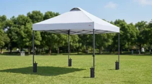 MASTERCANOPY 10x10 pop up canopy with a vented top and a red and white roller bag on a lawn