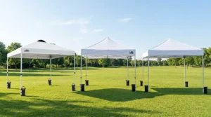 Eagle Peak, Eurmax USA, and Vinabilia pop up canopy tents set up side by side on a grass field